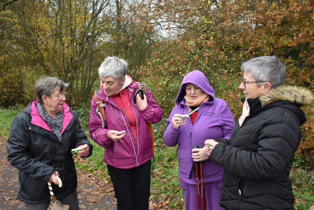 4 personnes regardant lors podomètre lors d'une promenade avec l'initiative D-Marche