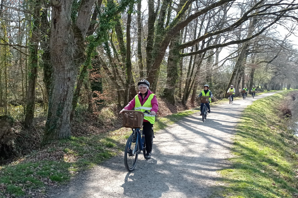 Seniors apprenant à utiliser un vélo à assistance électrique lors d'un cours de prévention